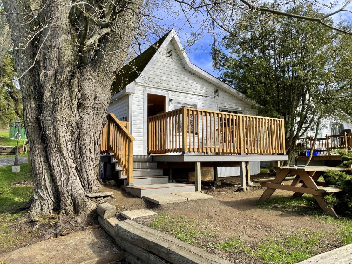 Merland Park Cottages&Motel Picton Buitenkant foto